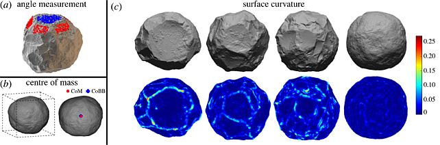 Los investigadores midieron el ángulo de la superficie, el centro de masa y la curvatura de la superficie de cada uno de sus artefactos