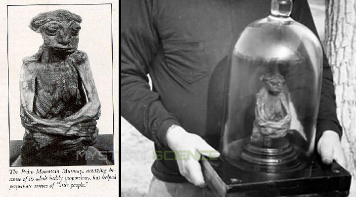 La momia encontrada en las montañas de San Pedro